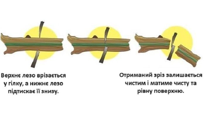 Гілкоріз Gardena EasyCut 680B (12003-20.000.00) 51346 фото
