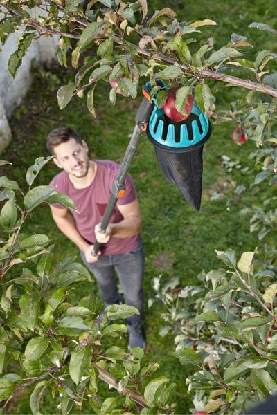 Плодознімач Gardena Combisystem FruitPicker (03115-20.000.00) 50925 фото
