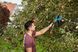 Плодознімач Gardena Combisystem FruitPicker (03115-20.000.00) 50925 фото 9