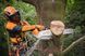 Пила аккумуляторная STIHL MSA 220 Т 35см Stihl без аккумулятора и ЗУ MA012000027 фото 5