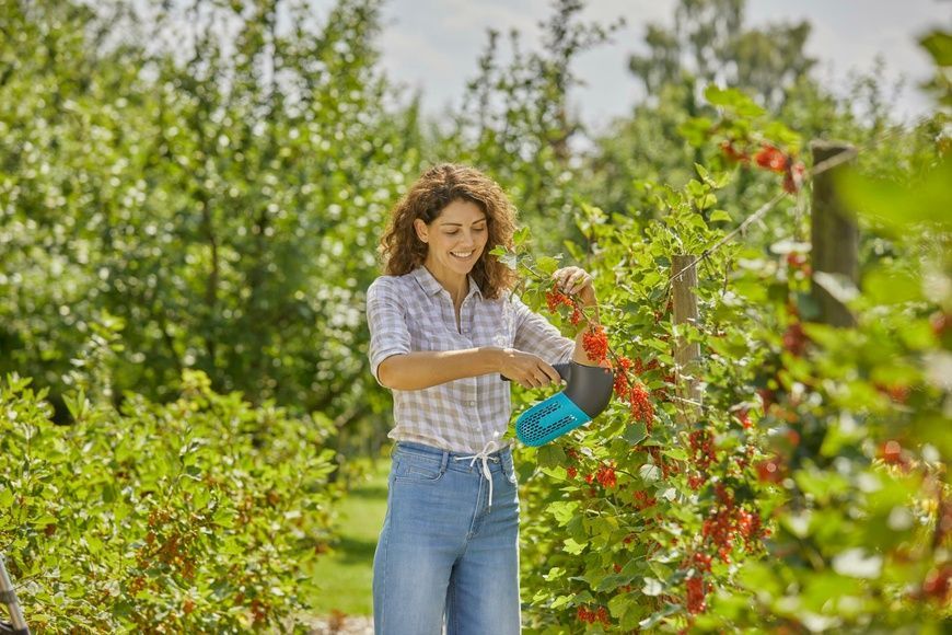 Плодознімач для ягід Gardena Combisystem BerryPicker (17400-20.000.00) 50926 фото