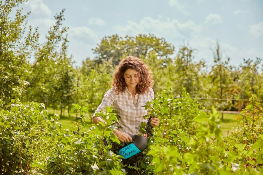 Плодознімач для ягід Gardena Combisystem BerryPicker (17400-20.000.00) 50926 фото