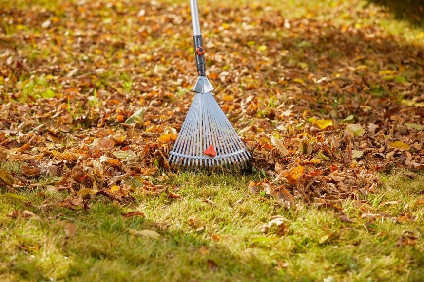 Граблі дротяні Gardena Combysistem 30-50 см (03103-20.000.00) 50924 фото
